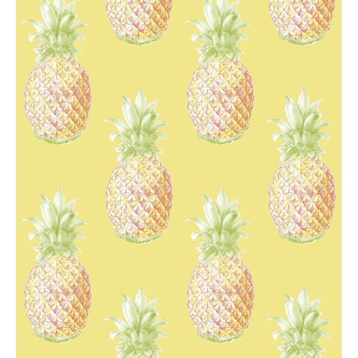 Papel pintado de piñas amarillas estilo tropical - Tropical Fruit 679751
