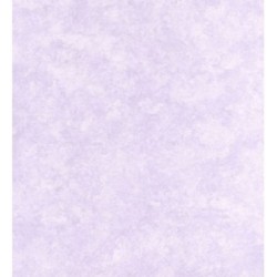 Papel pintado Stucciane 38 118361