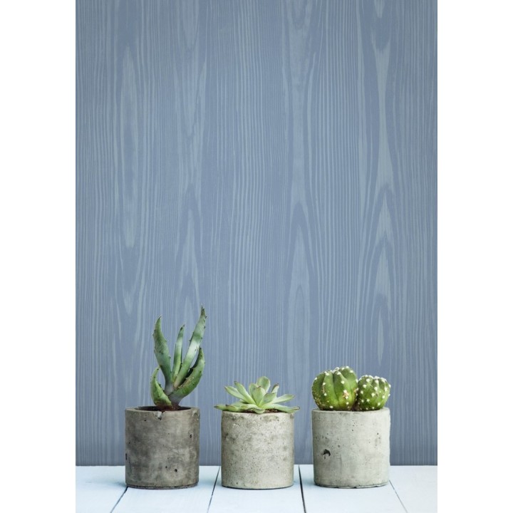 Papel pintado madera veteada azul claro estilo tropical - Devon Forest 679767