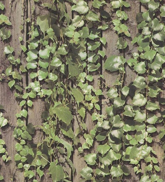 Papel pintado enredadera sobre madera fotográfico - Sericeus 119699