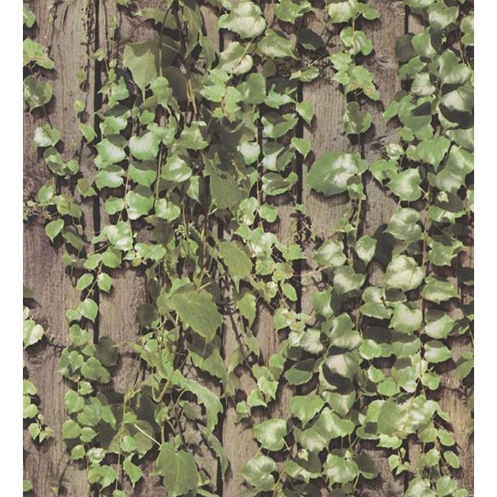 Papel pintado enredadera sobre madera fotográfico - Sericeus 119699