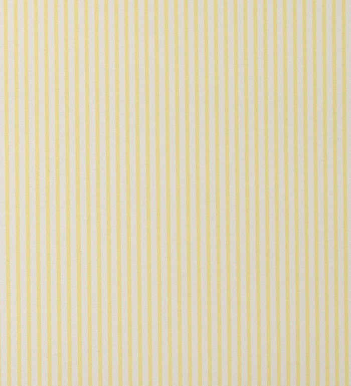 Papel pintado rayas finas modernas - Raya Satine 119737
