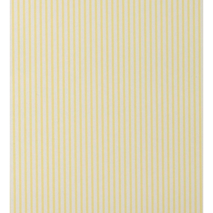 Papel pintado rayas finas modernas - Raya Satine 119737