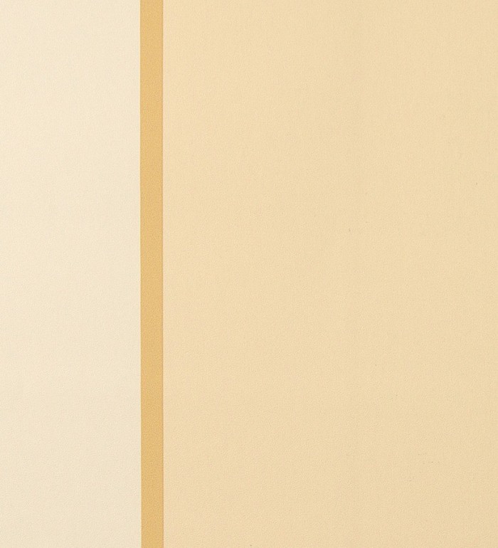 Papel pintado moderno rayas anchas y finas tricolor - Raya Tarobe 119757