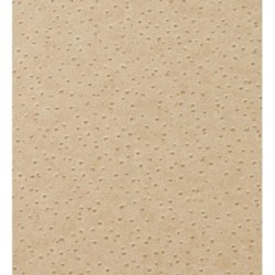 Papel pintado Vestruz 119827