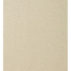 Papel pintado Vestruz 119828