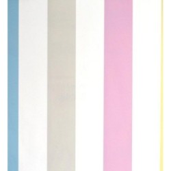 Papel pintado Raya Perfect World 120050