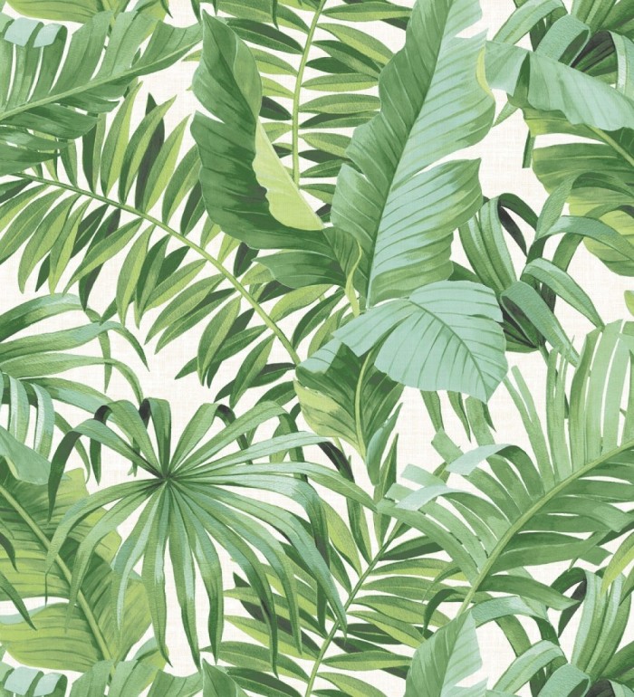 Papel pintado de hojas tropicales verdes - Palm Beach 680754
