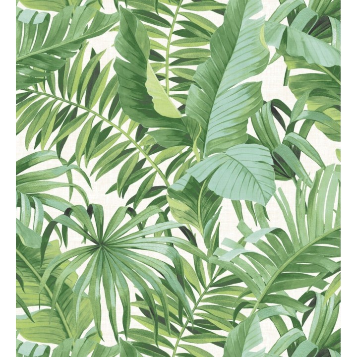 Papel pintado de hojas tropicales verdes - Palm Beach 680754