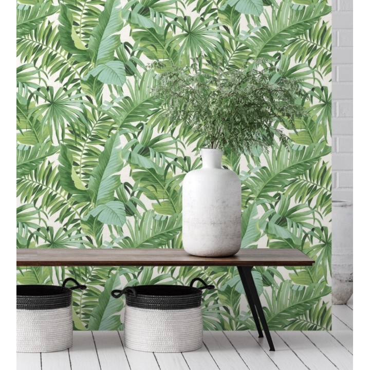 Papel pintado de hojas tropicales verdes - Palm Beach 680754