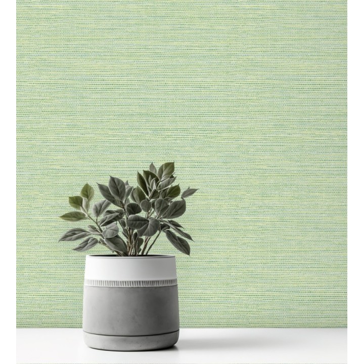 Papel pintado Graham Hall 680759