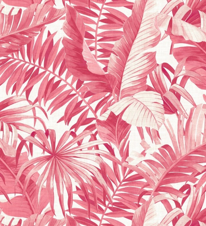 Papel pintado hojas tropicales - Indonesia 680818