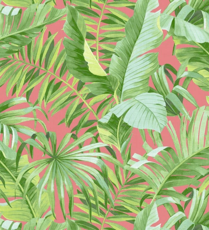Papel pintado hojas tropicales - Indonesia 680819