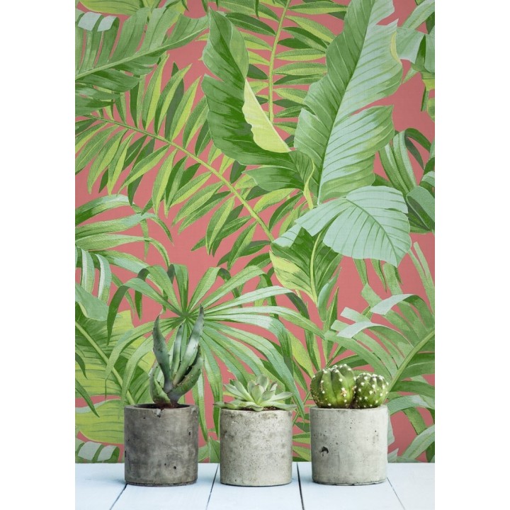 Papel pintado hojas tropicales - Indonesia 680819