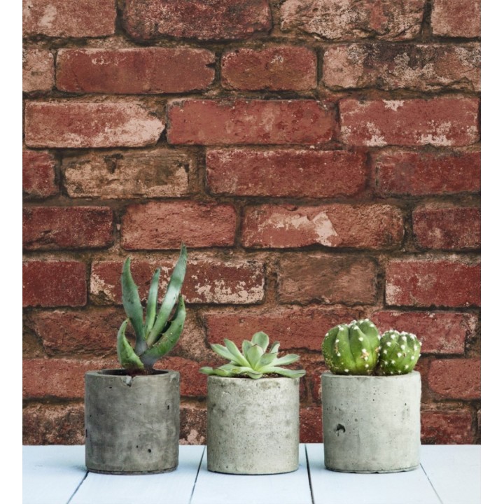 Manchester Break 680894