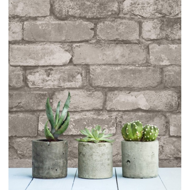 Manchester Break 680895