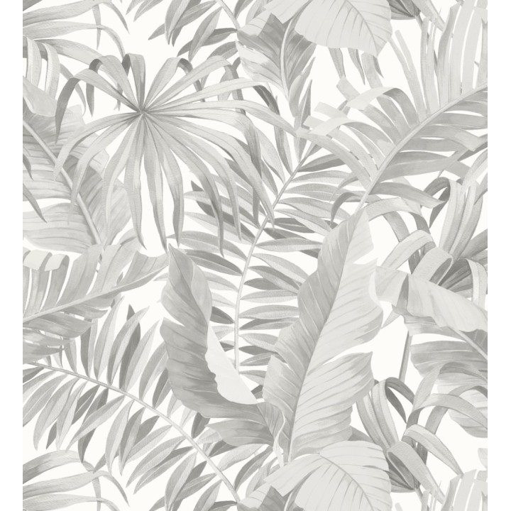 Maldivas Tropical 680937