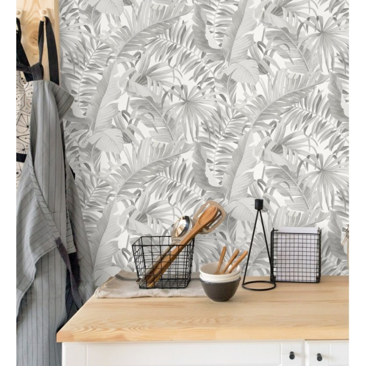 Maldivas Tropical 680937