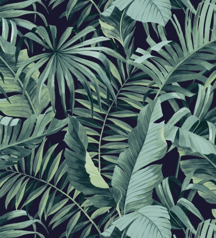 Papel pintado de hojas tropicales verde y negro - Maldivas Tropical 680939