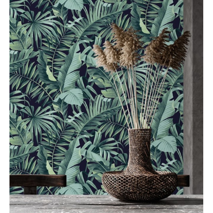 Maldivas Tropical 680939