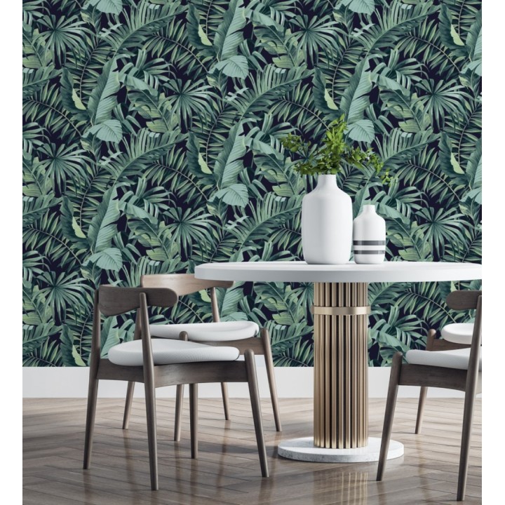 Maldivas Tropical 680939