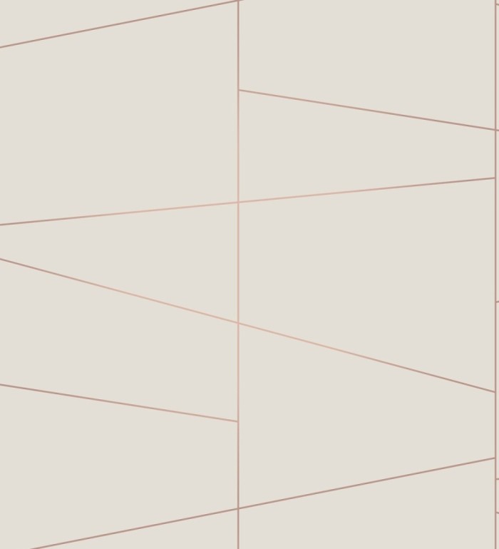 Papel pintado geométrico lineas metalizadas estilo Art déco - Luxury Lines 680948