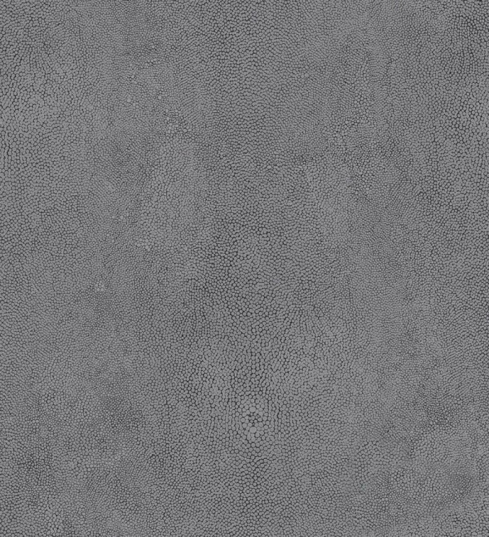 Papel pintado piel de avestruz - Manila 120944