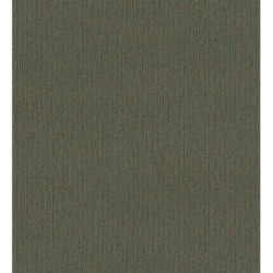 Papel pintado Bangalore 680991