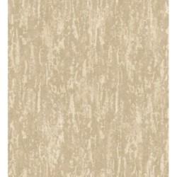 Hermitage Texture 681133