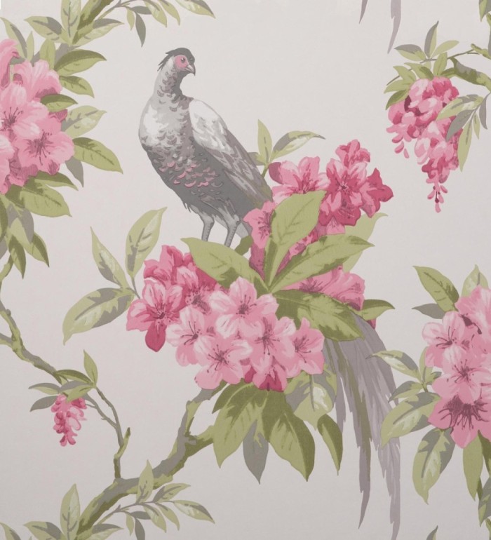 Papel pintado de pájaros y flores de los jardines reales - Royal Birds 681203