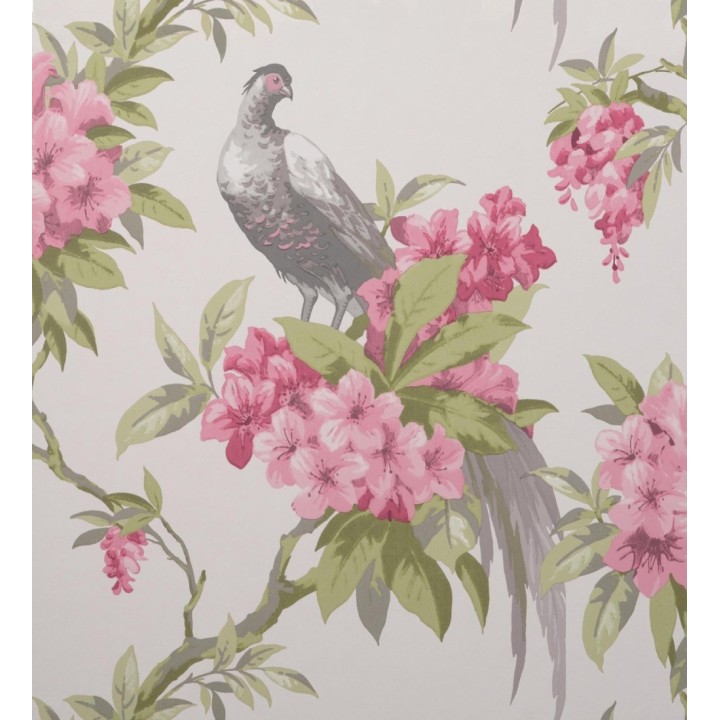 Papel pintado de pájaros y flores de los jardines reales - Royal Birds 681203