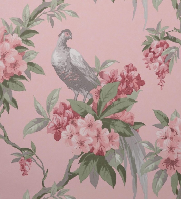 Papel pintado de pájaros y flores de los jardines reales - Royal Birds 681204