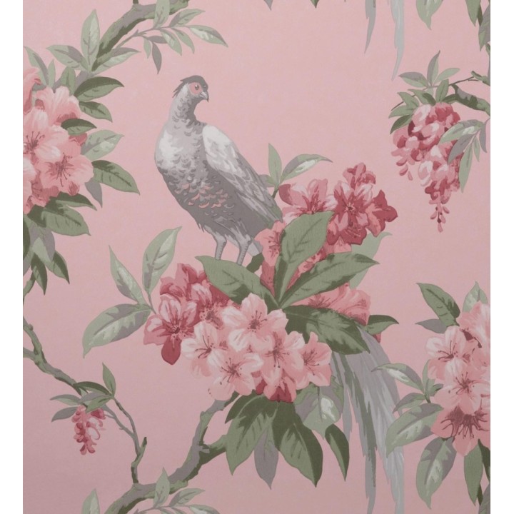 Papel pintado de pájaros y flores de los jardines reales - Royal Birds 681204