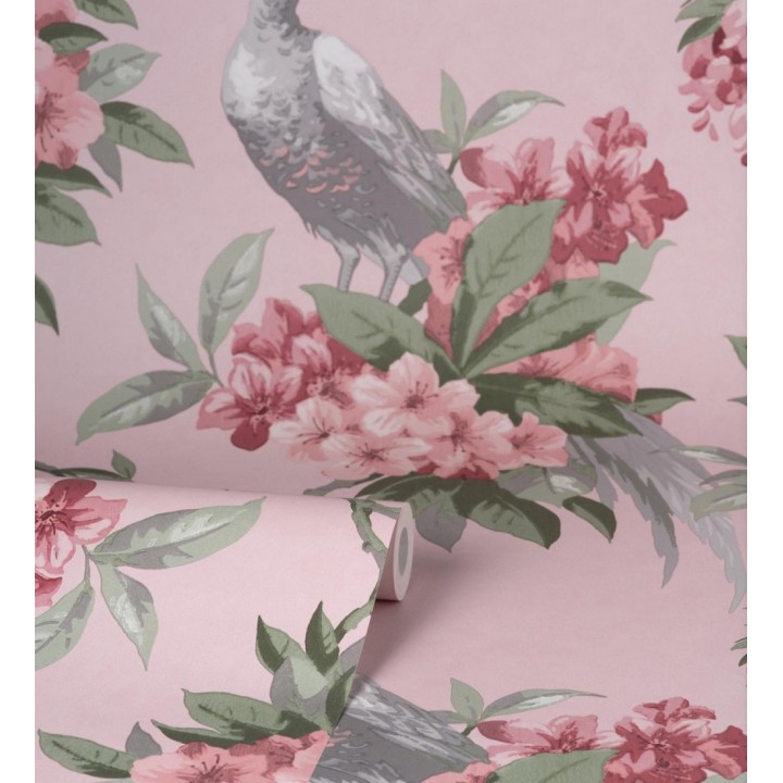 Papel pintado de pájaros y flores de los jardines reales - Royal Birds 681204
