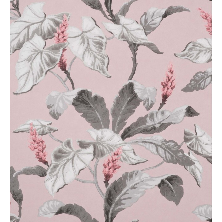 Papel pintado de flores y hojas de magnolias - Lady Magnolias 681229