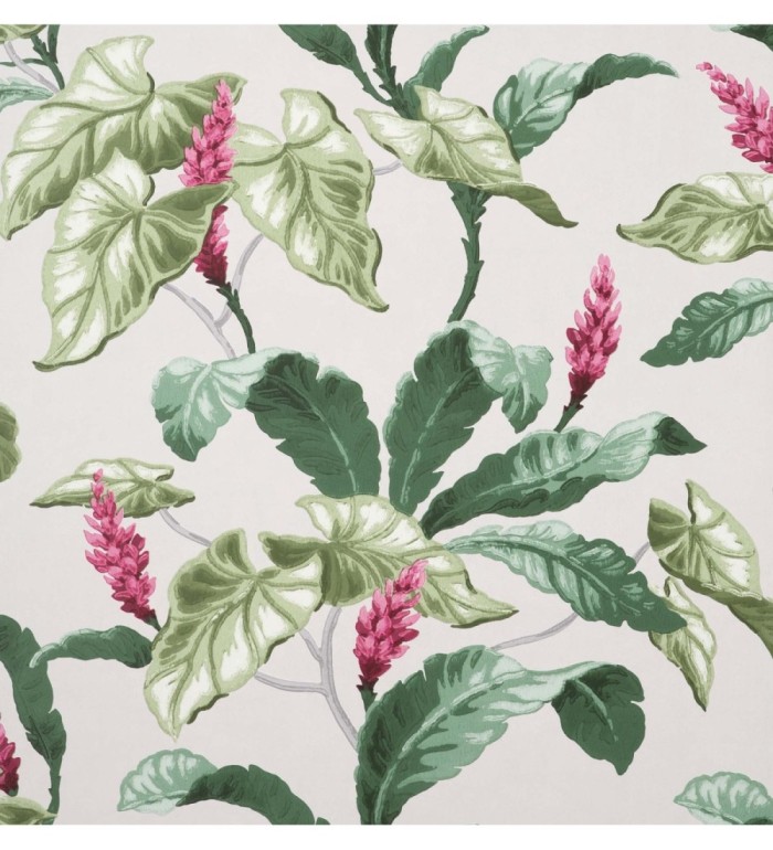 Papel pintado de flores y hojas de magnolias - Lady Magnolias 681231