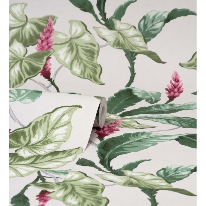 Papel pintado de flores y hojas de magnolias - Lady Magnolias 681231