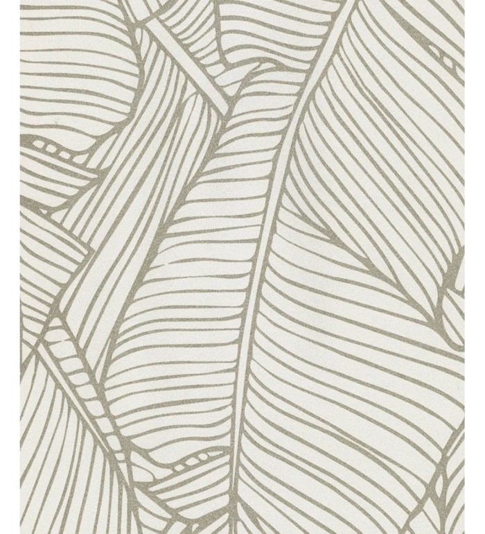 Papel pintado hojas grandes modernas estilo tropical - Medellin 121013