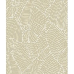 Papel pintado Medellin 121014