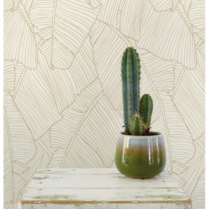 Papel pintado hojas grandes modernas estilo tropical - Medellin 121014