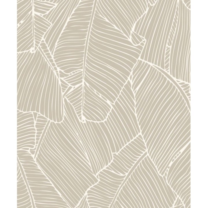 Papel pintado hojas grandes modernas estilo tropical - Medellin 121015