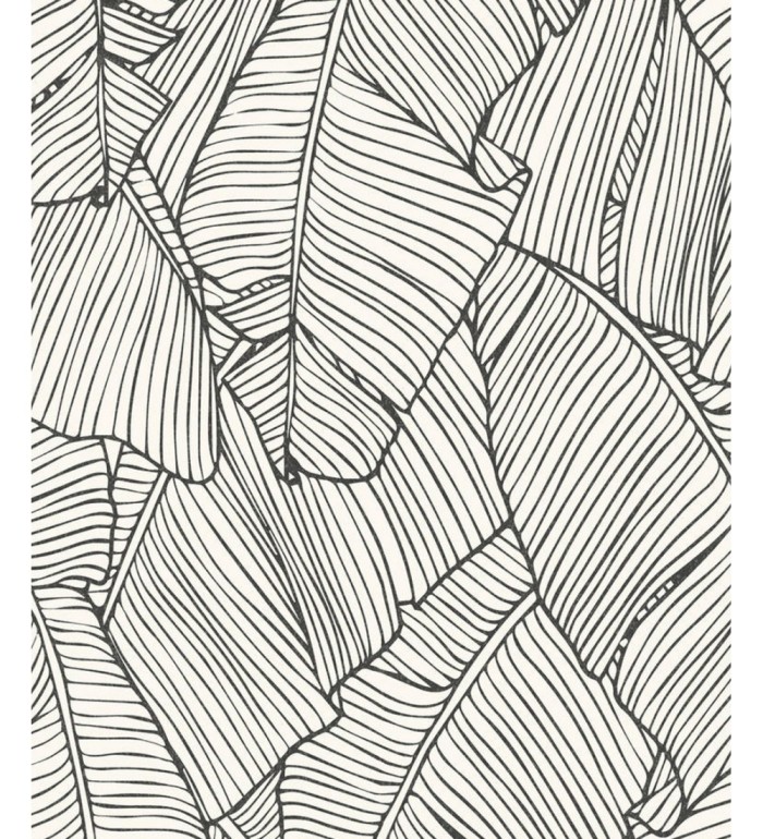 Papel pintado hojas grandes modernas estilo tropical - Medellin 121016
