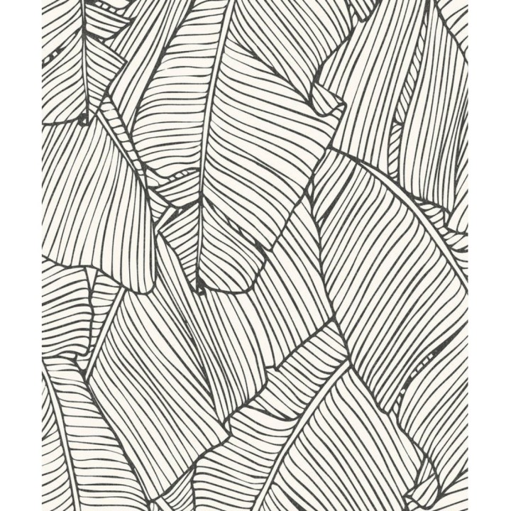 Papel pintado hojas grandes modernas estilo tropical - Medellin 121016