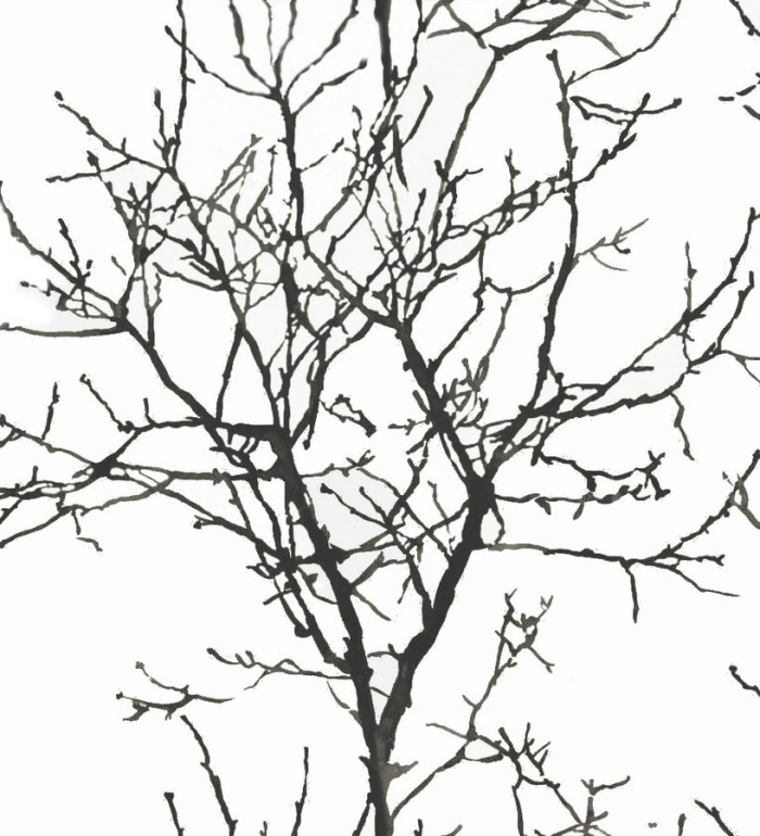 Papel pintado bosque de árboles estilo nórdico - Forest Park 121021