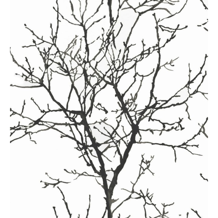 Papel pintado bosque de árboles estilo nórdico - Forest Park 121021