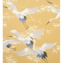 Mandarin Birds 681329