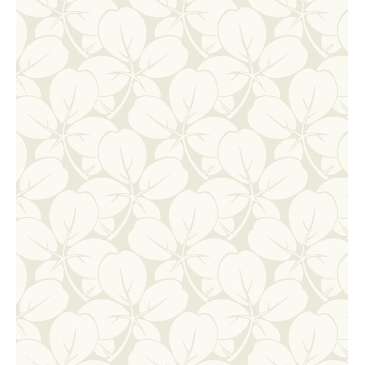 Papel pintado de margaritas fondo - Margot 681344