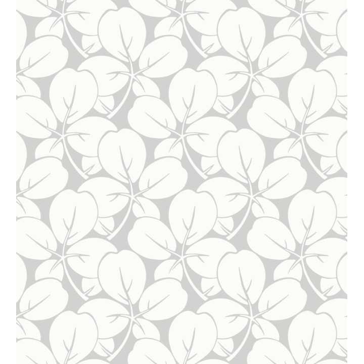 Papel pintado de margaritas fondo - Margot 681346