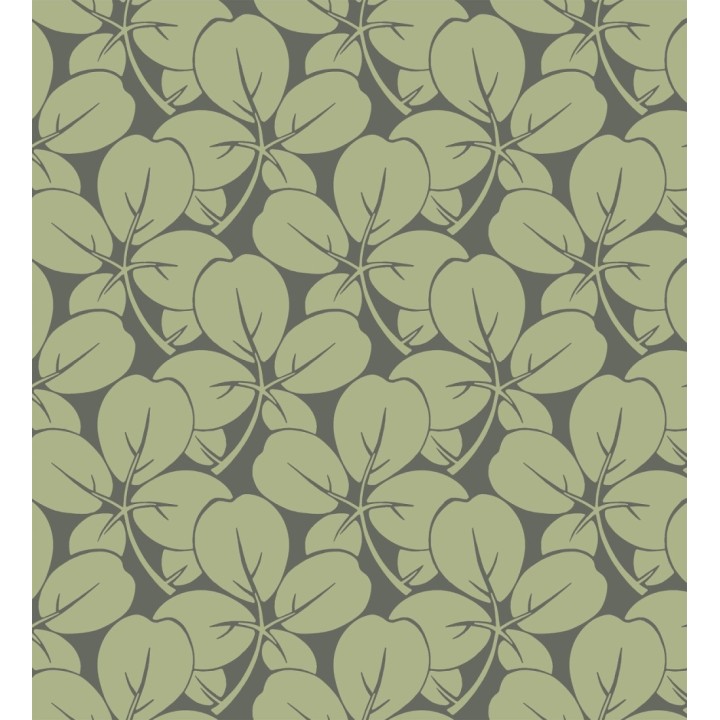 Papel pintado de margaritas fondo - Margot 681348