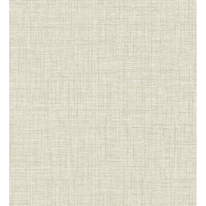 Papel pintado texturizado y jaspeado - Amy Texture 681436